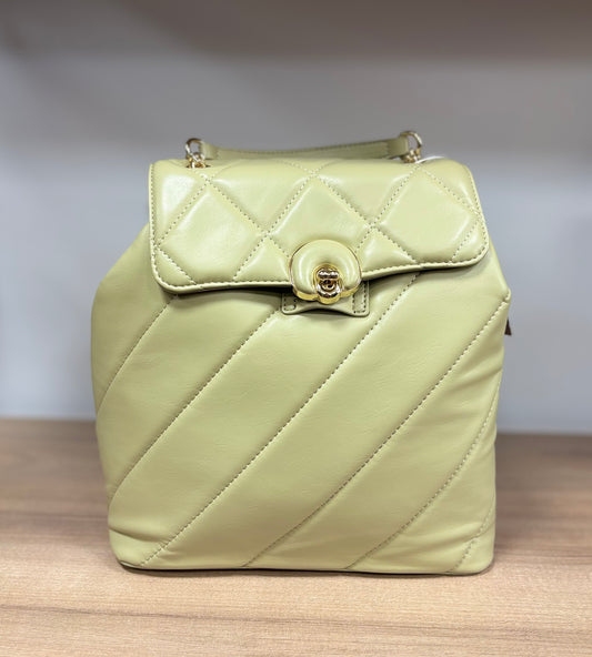 Peter James backpack in sage green